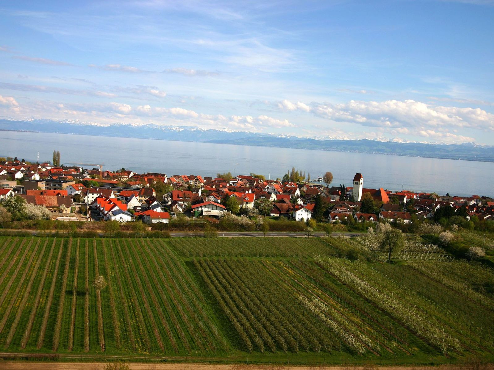  Luftbild von Kippenhausen 