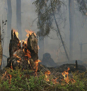 Grillhütte Forstwiesen gesperrt - Waldbrandgefahr
